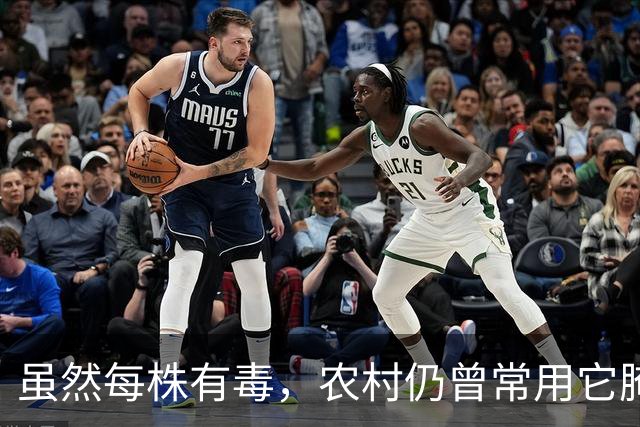 虽然每株有毒，农村仍曾常用它腌制，如今为何逐渐消失？